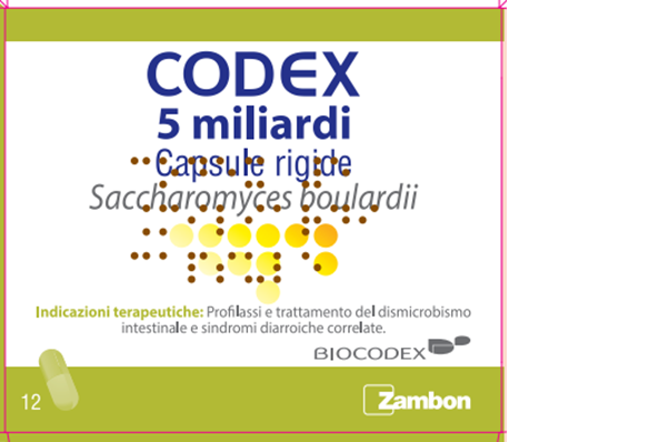 CODEX*12CPS 5MLD 250MG - Magnumfarma.it
