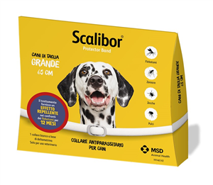 SCALIBOR PROTECTOR BAND*BI65CM - Magnumfarma.it