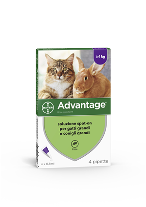 ADVANTAGE*4PIP 0,8ML SPOTON - Magnumfarma.it