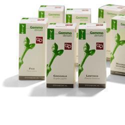 RIBES NERO MACERATO GLICERICO 200 ML - Magnumfarma.it