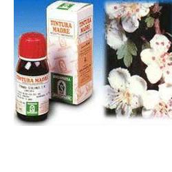 BIANCOSPINO 10 50ML TM - Magnumfarma.it