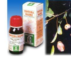 QUERCIA MARI 14 50ML TM - Magnumfarma.it