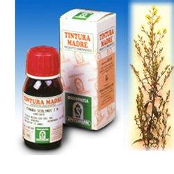 VERGA ORO 26 50ML TM - Magnumfarma.it