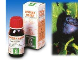 MIRTILLO 31 50ML TM - Magnumfarma.it