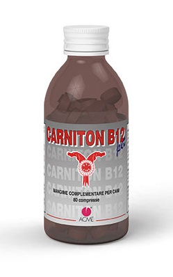 CARNITON B 12 80 COMPRESSE - Magnumfarma.it