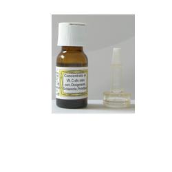 SIDEA C INTEGRALE VITAMINA C 10 ML - Magnumfarma.it