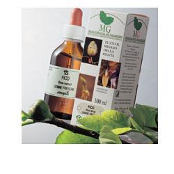 BETULA VERRUCOSA MACERATO GLICERICO 100 ML - Magnumfarma.it