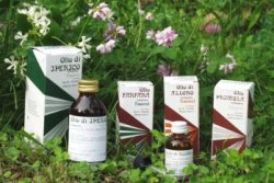RAEMIL PROPOLI OLIO 25 ML - Magnumfarma.it