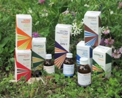 RAEMIL PROPOLI COMPOSTO 15 ML - Magnumfarma.it