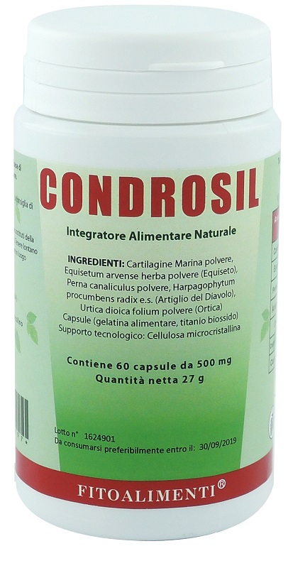 CONDROSIL 60 CAPSULE - Magnumfarma.it