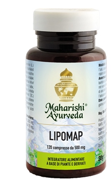 LIPOMAP 120 COMPRESSE - Magnumfarma.it