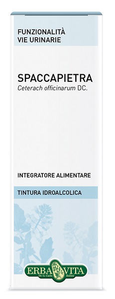 SPACCAPIETRA TINTURA IDROALCOLICA 50 ML EBV - Magnumfarma.it