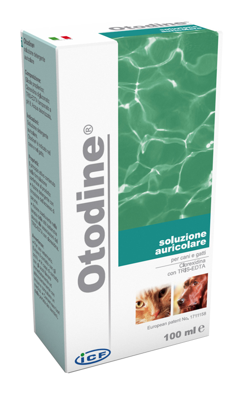 OTODINE DETERGENTE LIQUIDO 100 ML - Magnumfarma.it