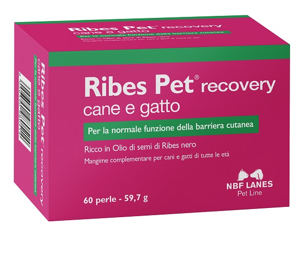 RIBES PET RECOVERY BLISTER 60 PERLE - Magnumfarma.it