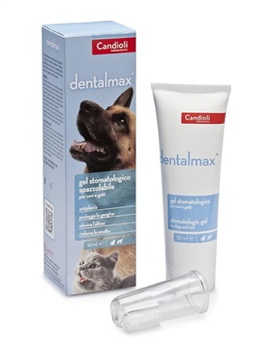 DENTALMAX GEL STOMATOLOGICO 50 ML - Magnumfarma.it