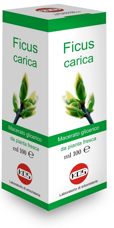 FICUS CARICA MACERATO GLICERICO 100 ML - Magnumfarma.it