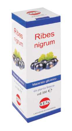 RIBES NIGRUM MACERATO GLICERICO 100 ML GOCCE - Magnumfarma.it