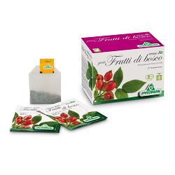 INFUSO BIO FRUTTA FRUTTI DI BOSCO 20 FILTRI - Magnumfarma.it
