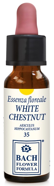 WHITE CHESTNUT ORIGINAL 10 ML - Magnumfarma.it
