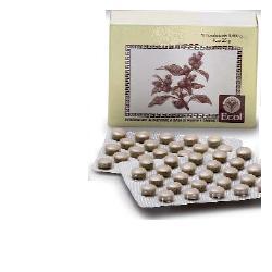 CIMICIFUGA 50 TAVOLETTE 500 MG - Magnumfarma.it
