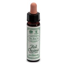 AINSWORTHS RED CHESTNUT 10ML - Magnumfarma.it