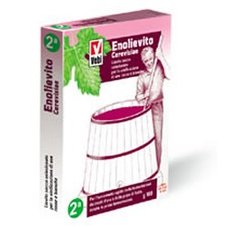 ENOLIEVITO CERVISIAE 100 G - Magnumfarma.it