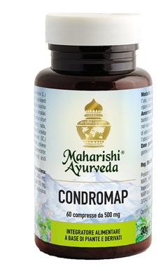 CONDROMAP 60 COMPRESSE - Magnumfarma.it