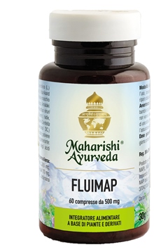 FLUIMAP 60 COMPRESSE - Magnumfarma.it