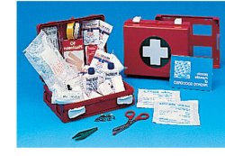 CASSETTA PRONTO SOCCORSO FAMILY PER CAMPEGGIO, BRICOLAGE, CASA E UFFICIO. CONTENITORE IN ABS ANTIURTO CON SUPPORTO PER IL FISSAGGIO ALLA PARETE - Magnumfarma.it