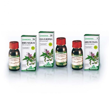 GEMMOSOL 46 TIGLIO ARGEN 50ML - Magnumfarma.it
