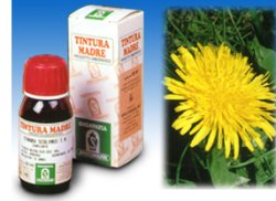 TARASSACO 28 50ML TM - Magnumfarma.it