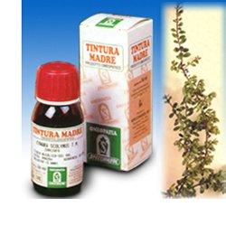 UVA URSINA 30 50ML TM - Magnumfarma.it