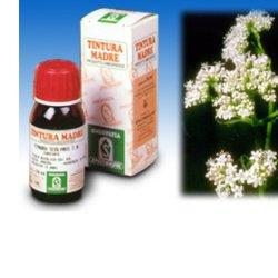 VALERIANA 36 TINTURA MADRE 50 ML - Magnumfarma.it
