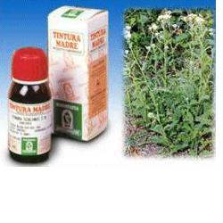 ACHILLEA 51 TINTURA MADRE 50 ML - Magnumfarma.it