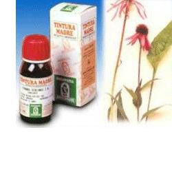 ECHINACEA 59 50ML TM - Magnumfarma.it