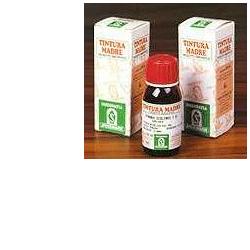 ERISIMO 61 50ML TM - Magnumfarma.it