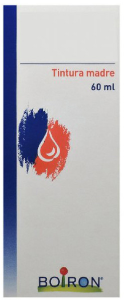 TARAXACUM TINTURA MADRE 60 ML - Magnumfarma.it