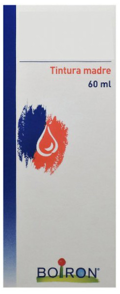 THUYA OCCIDENTALIS TINTURA MADRE 60 ML - Magnumfarma.it