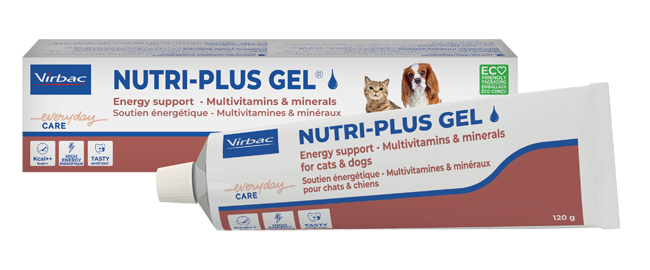 NUTRIPLUS GEL PASTA ORALE 120 G - Magnumfarma.it