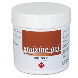 ARNIXINE GEL 750 ML - Magnumfarma.it