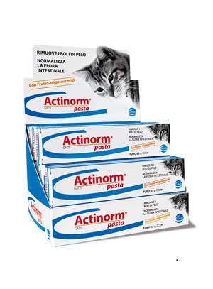 ACTINORM PASTA GATTI 65 G - Magnumfarma.it