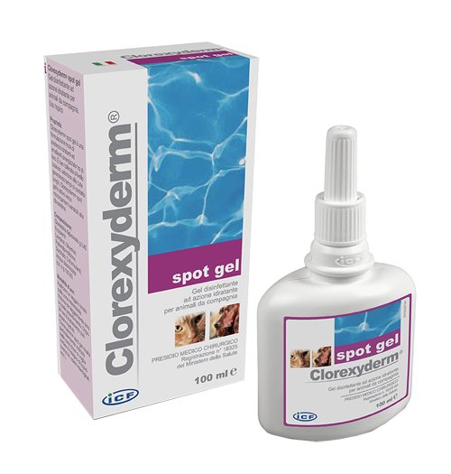 CLOREXYDERM SPOT GEL 100 ML - Magnumfarma.it