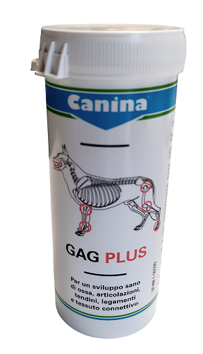 GAG PLUS 200 G 120 TAVOLETTE - Magnumfarma.it