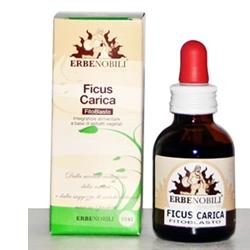 FITOBLASTO FICUS CARICA 50 ML - Magnumfarma.it