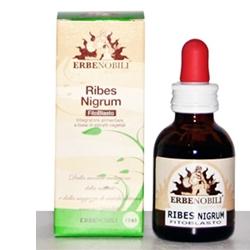 FITOBLASTO RIBES NIGRUM 50 ML - Magnumfarma.it