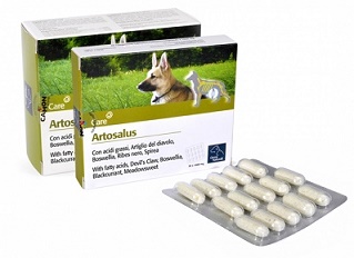 ARTOSALUS COMPRESSE 30 COMPRESSE - Magnumfarma.it