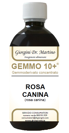 GEMMO 10+ ROSA CANINA LIQUIDO ANALCOLICO 500 ML - Magnumfarma.it