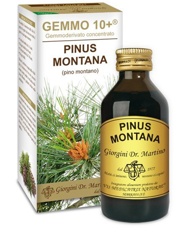 GEMMO 10+ PINO MONTANO 100 ML LIQUIDO ANALCOLICO - Magnumfarma.it