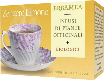 ZENZERO/LIM BIO 20 BUSTINE 30 G - Magnumfarma.it