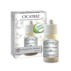 CICATRIZ POLVERE 10 G - Magnumfarma.it